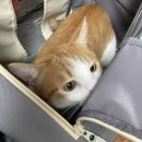 본도시락 영등포역점 이미지