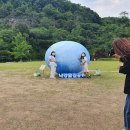 경상북도문화관광공사 이미지