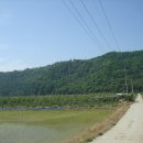 더과수원 이미지