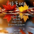 키라 이미지