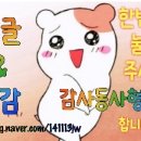 스타복싱2호점 이미지