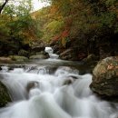 파크식당 이미지