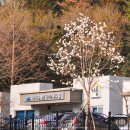 아룸