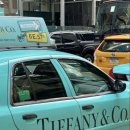 로즈골드(Rose Gold) 이미지