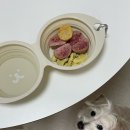 널독(NERDOG) 이미지