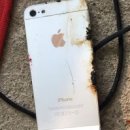 병무농장 이미지