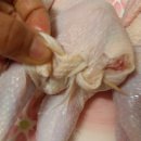 소주삼계탕
