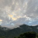 북스테이 노란 이미지