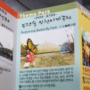 부평숲 인천나비공원 전시실 이미지
