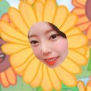 옛날보신탕 이미지