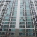 의안로155 이미지