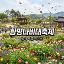 메가엠지씨커피전남함평점 | 2026 함평나비대축제 기간 입장료 및 가볼만한곳 완벽 정리