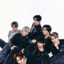 다크비 카카오 검색결과