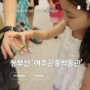 가자 박물관으로 | 동부산 여주곤충박물관 팝업. 기간, 입장료, 후기