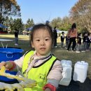 11월 4일 화요일 사랑3,4반 “가족의 숲” 이미지