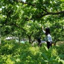 김포시농업기술센터 이미지