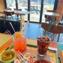 네코스테이 고양이마을 이미지