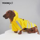 비즈하이