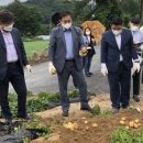 고랭지식품