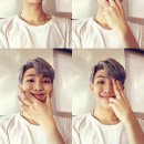 랩몬스터