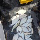 영산로 284 이미지