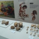 충남대학교 박물관 이미지