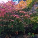 자연가든 이미지