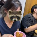 BHC 인제점 이미지