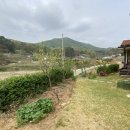 단월초교 병설유치원 이미지
