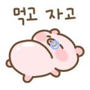 슈퍼막회 이미지