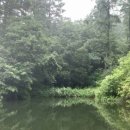 대관령 느린마을 이미지