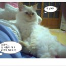 사루 - 수성구 청솔로20길 37 | 사루