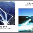 알펜시아 스포츠파크 크로스컨트리 경기장 이미지