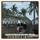 (주)원앤원스 | 푸꾸옥 가성비 리조트 더 쉘 리조트 &amp; 스파 푸꾸옥 | 럭셔리스위트 오션뷰 조식메뉴 솔직후기