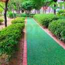 인천상정초등학교 이미지