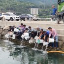 고성수산 - 함양군 중앙시장길 6-8 | 고성수산