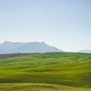 이윤공인중개사사무소 이미지