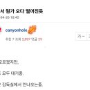 조금만천천히 이미지