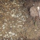 산골의하루 이미지