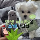 김정문알로에대구점 | 아토피/여드름/화장독/피부 뒤집힐 때 진정 순한 화장품 추천 (15년 사용 찐 후기)