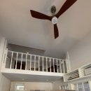 수원.영통.기흥 카페 추천 | 레이지 하우스 | LAZY HOUSE | 내돈내산 후기