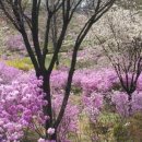 꽃동산유치원 이미지