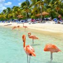 연산군 유배지 이미지