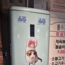 당리동사람들 이미지