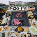청도숯불갈비 | 청도 맛집 추천 청도숯불갈비 한우 갈비살 후기