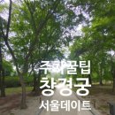 궁들천 이미지