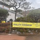 청주시립대청호미술관 | 청주 시립대청호미술관 전시 :: <플라스틱 다큐멘터리> 관람 포인트 및 리뷰