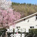 거창읍-22 | 경남 거창 벚꽃명소, 4월 데이트 코스 병곡마을 수양벚꽃, 건계정에서 인생샷
