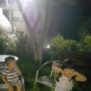 평창그린힐리조트 이미지