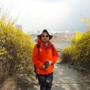 개나리공원3 이미지